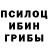 Галлюциногенные грибы прущие грибы (Wlad141998)